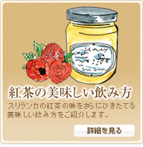 紅茶のおいしい飲み方