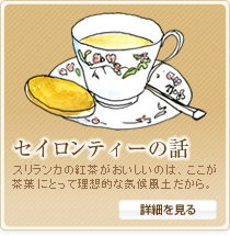 セイロンティーの話