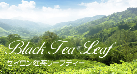 セイロン紅茶リーフティー